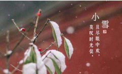 2020年农历十月十五小雪节气适合开业吗,小雪开张好吗？