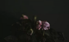 2020年农历十月廿六日出殡行不行？