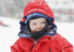 2020年农历十月十二出生属狗男宝宝命运好吗,性格如何？