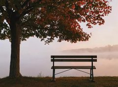 2020年农历十月十四日子好吗,这天是不是黄道吉日？