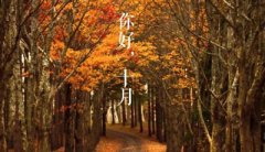 生肖属羊的人出生在寒衣节命运怎么样？