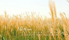 属蛇人的出生在寒衣节命运如何？