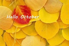 生肖酉鸡出生在寒衣节的命运解析