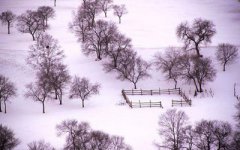 2020年农历十月十二适宜出行吗？