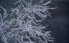 2020年农历十月初七适宜出行吗？