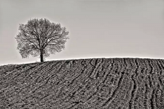 2020年农历十月初六日可以出殡吗？