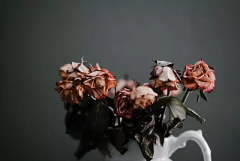 2020年农历十月初九日适不适合出殡？