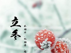2020年立冬属狗男宝宝命运好吗,性格有何特点？