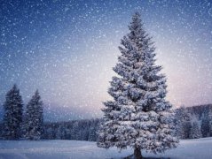 立冬节气泡脚好吗,立冬泡脚有什么好处？