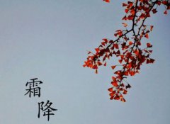 2020年霜降是哪天,霜降是什么意思?