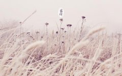 2020年霜降节气订婚好吗?吉时在什么时候