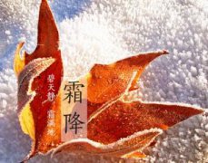 2020年霜降节气的时候结婚好吗,当天吉凶怎样