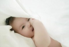 2020年10月23日霜降出生属狗宝宝命理全解析!