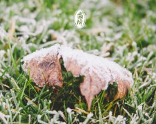 2020年霜降不能吃什么,霜降饮食禁忌解析!