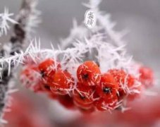 2020霜降节气有什么禁忌之事?这天的运势怎样