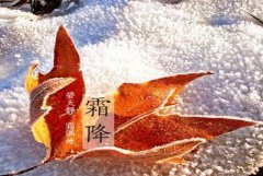 霜降有什么活动？霜降节气如何养生？