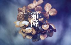 霜降节气为什么要吃鸭子,霜降吃鸭子有什么好处？