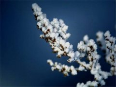 关于霜降的诗句，霜降是什么季节