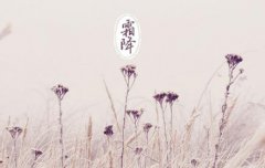 2020霜降时辰吉凶,吉时在什么时候