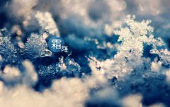 霜降节气属于秋天还是冬天？霜降吃什么传统食物？