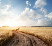 2020年农历九月十二出生的宝宝是什么星座?