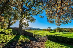 2020年农历九月十五黄历日子好吗,属于黄道吉日吗?