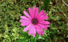 2020年农历九月十六属于黄道吉日吗,这天卦象如何?