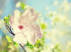 2020年农历九月初九重阳节日子适合出行出远门吗？