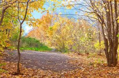 农历九月适合去哪里旅游,农历九月旅游景点推荐！