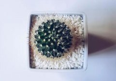 2020年农历九月安床吉日查询一览表！