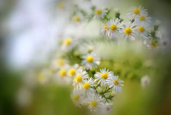 2020年农历九月廿四日出殡行吗？