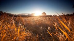 2020年农历九月初二出生的宝宝是什么星座？