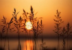 2020年农历九月二十七出生的宝宝是什么星座？