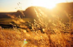 2020年农历九月初六出生的宝宝是什么星座?