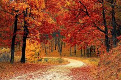 2020年农历九月十二日子如何,这天日子适合祭祀吗？