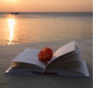 2020年农历九月十六出生的宝宝是什么星座？