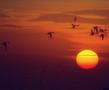 2020年农历九月十八出生的宝宝是什么星座？