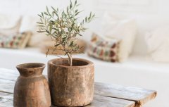 今年2020年重阳节是几月几日,重阳节祝福语推荐！