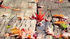 2020年农历九月有哪些适合出殡的日子？