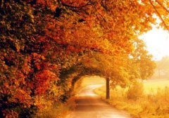 2020年农历九月初一日子适合出殡吗？