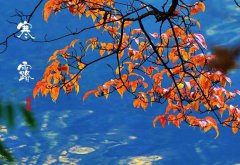 2020年10月8日寒露黄历日子怎么样,适合安葬逝者吗？