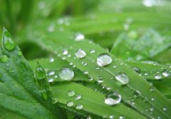 寒露是哪个季节,寒露节气天气特点解析！