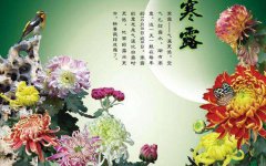 寒露节气禁忌吃什么,寒露的习俗有哪些？