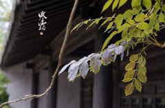 2020年寒露有什么风俗，寒露日子好不好？