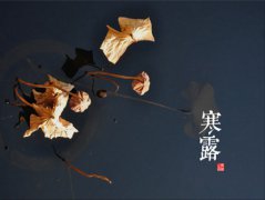 关于寒露的诗句，描写寒露的古诗有哪些？