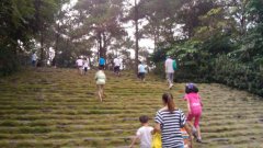 现在距2020重阳节还有几天,重阳节来源于哪里