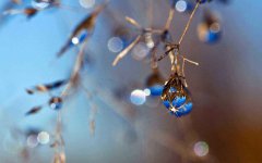 2020年寒露节气这天黄历以及时辰吉凶查询解析！