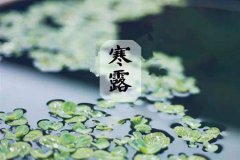 2020年寒露还要几天，寒露有什么风俗？