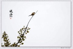 2020年寒露是哪一天，寒露如何养生？