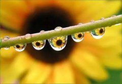 2020年寒露黄历日子如何,寒露安床日子合适吗?